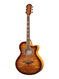 Ramis RA-A01C Акустическая гитара, с вырезом