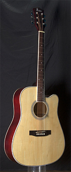 Foix FFG-1041NA Акустическая гитара