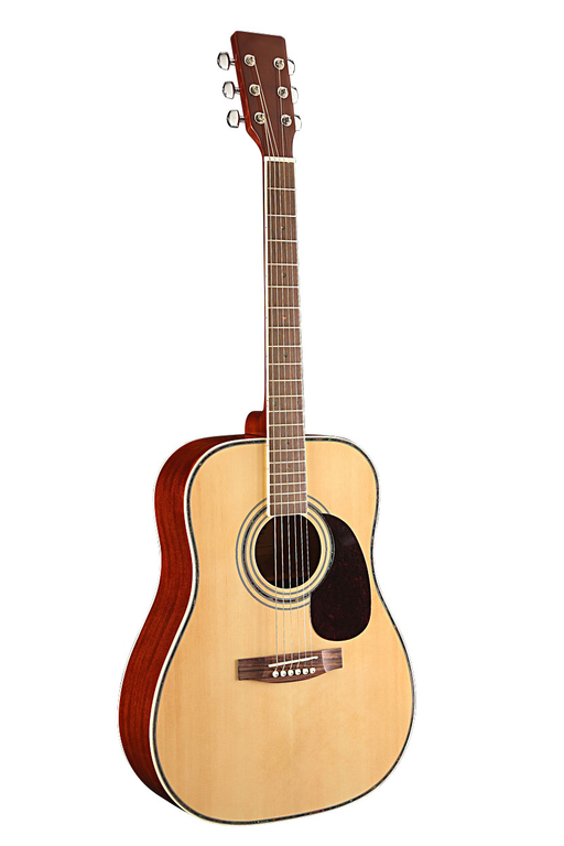 HOMAGE LF-4123 Акустическая гитара