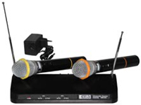 PRO AUDIO DWS-202 PT радиосистема  с двумя универс