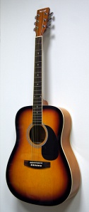 HOMAGE LF-4110-SB Акустическая гитара
