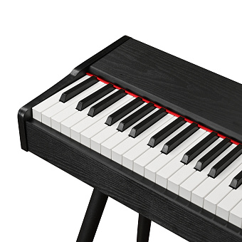 EMILY PIANO D-47 BK - цифровое фортепиано, чёрное матовое EMILY PIANO D-47 BK - цифровое фортепиано, чёрное матовое