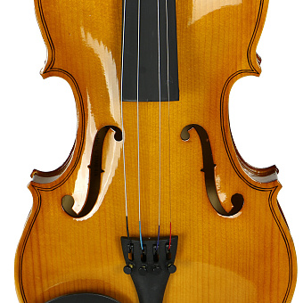 Tomas Vagner V-20 4/4 - скрипка, размером 4/4 Tomas Vagner V-20 4/4 - скрипка, размером 4/4