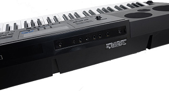 CASIO WK-6600 Синтезатор, 76 кл