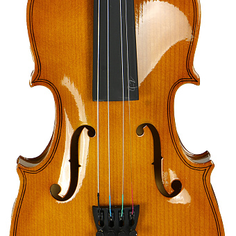 Tomas Vagner V-20 1/2 - скрипка, размером 1/2
