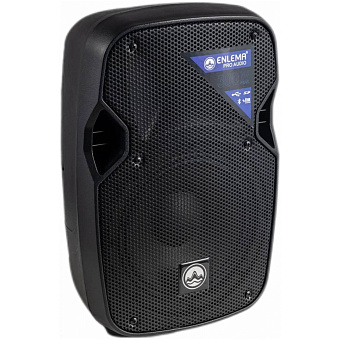 ENLEMA  APS 8 - Акустическая система, мощность 100/300 Ватт
