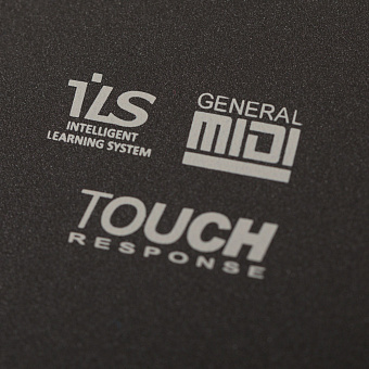 ROCKDALE Creator 2 - синтезатор с автоаккомпанементом, 61 клавиша