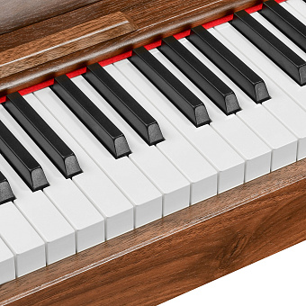 EMILY PIANO D-47 Walnut - цифровое фортепиано, орех матовое EMILY PIANO D-47 Walnut - цифровое фортепиано, орех матовое