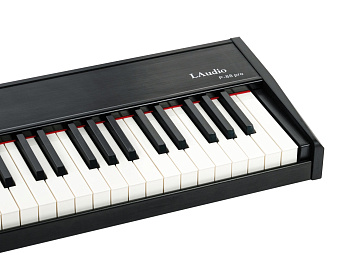 LAudio P-88-PRO MIDI-контроллер, 88 клавиш LAudio P-88-PRO MIDI-контроллер, 88 клавиш
