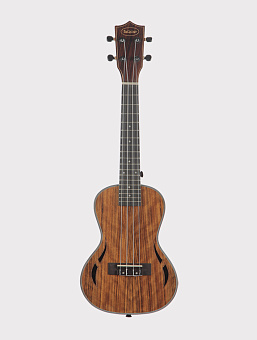 SQOE SQ-UK-24FS комплект укулеле концерт и аксессуары