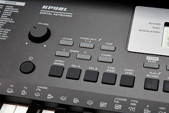Kurzweil KP90L LB - синтезатор