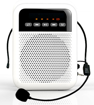 LAudio WS-VA030 Переносной громкоговоритель для гида, 5Вт