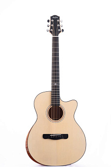 Aion Q10M акустическая гитара