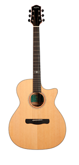 Aion X10M акустическая гитара