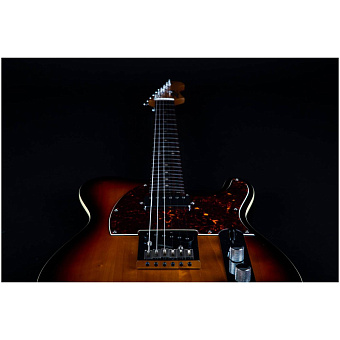 JET JT-350 SB R - электрогитара  шестиструнная