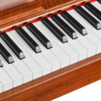 EMILY PIANO D-47 BR - цифровое фортепиано, коричневое матовое EMILY PIANO D-47 BR - цифровое фортепиано, коричневое матовое