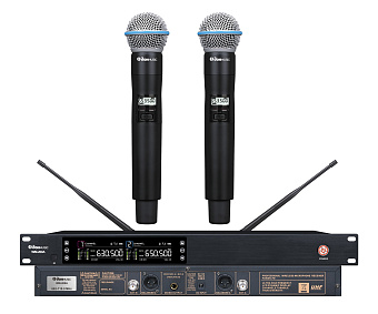 Don Music WM-200A - радиосистема двухканальная с двумя ручными микрофонами