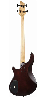 Schecter SGR C-4 BASS WSN - Бас-гитара электрическая