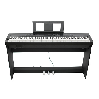Beisite S-262 Pro BK - компактное цифровое пианино, цвет черный