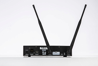 Pasgao PAW-900 Rx_PAH-801 TxH Одноканальная радиосистема с ручным передатчиком (A179302 + A179307) 