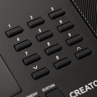 ROCKDALE Creator 2 - синтезатор с автоаккомпанементом, 61 клавиша