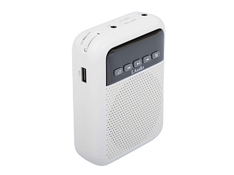 LAudio WS-VA030 Переносной громкоговоритель для гида, 5Вт
